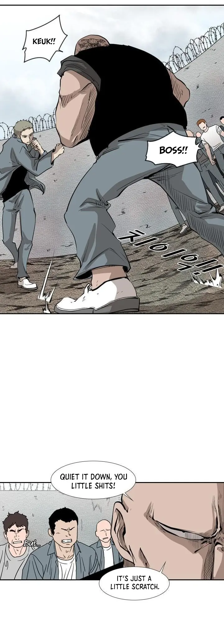 Read Shark Manga Online