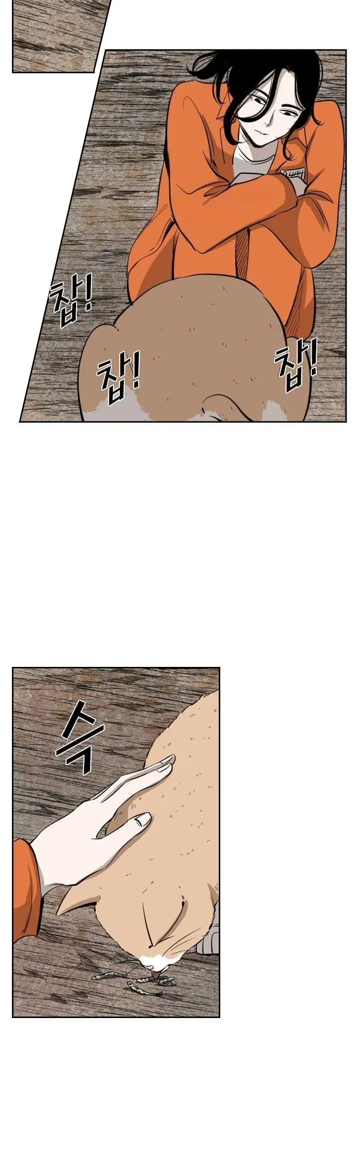 Read Shark Manga Online