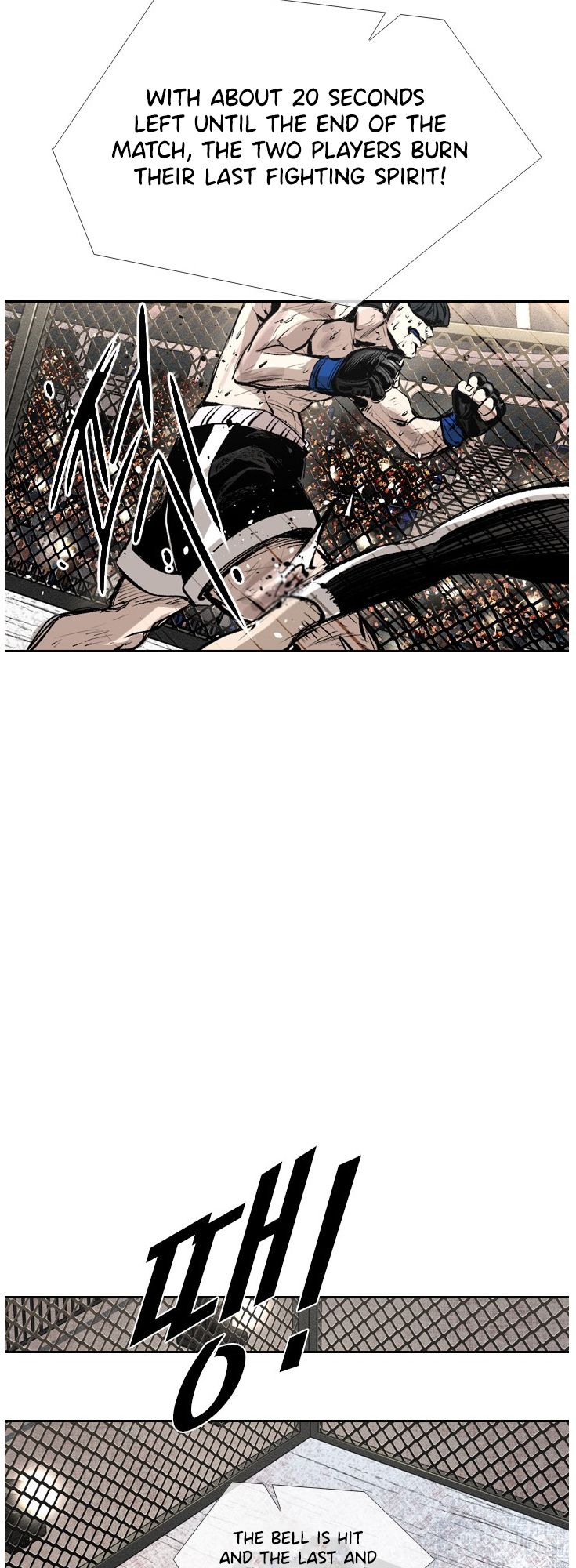 Read Shark Manga Online