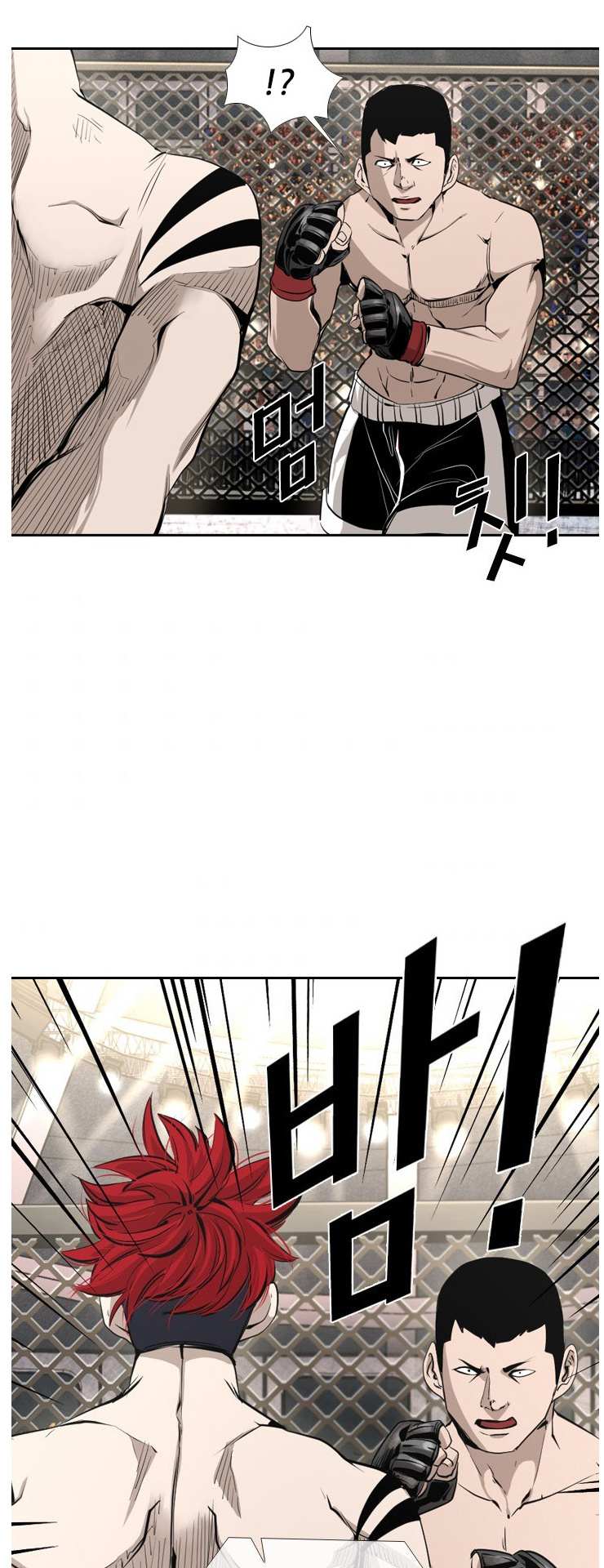 Read Shark Manga Online