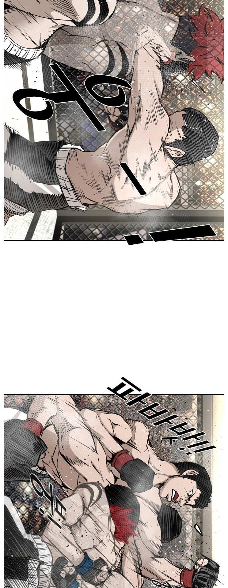 Read Shark Manga Online