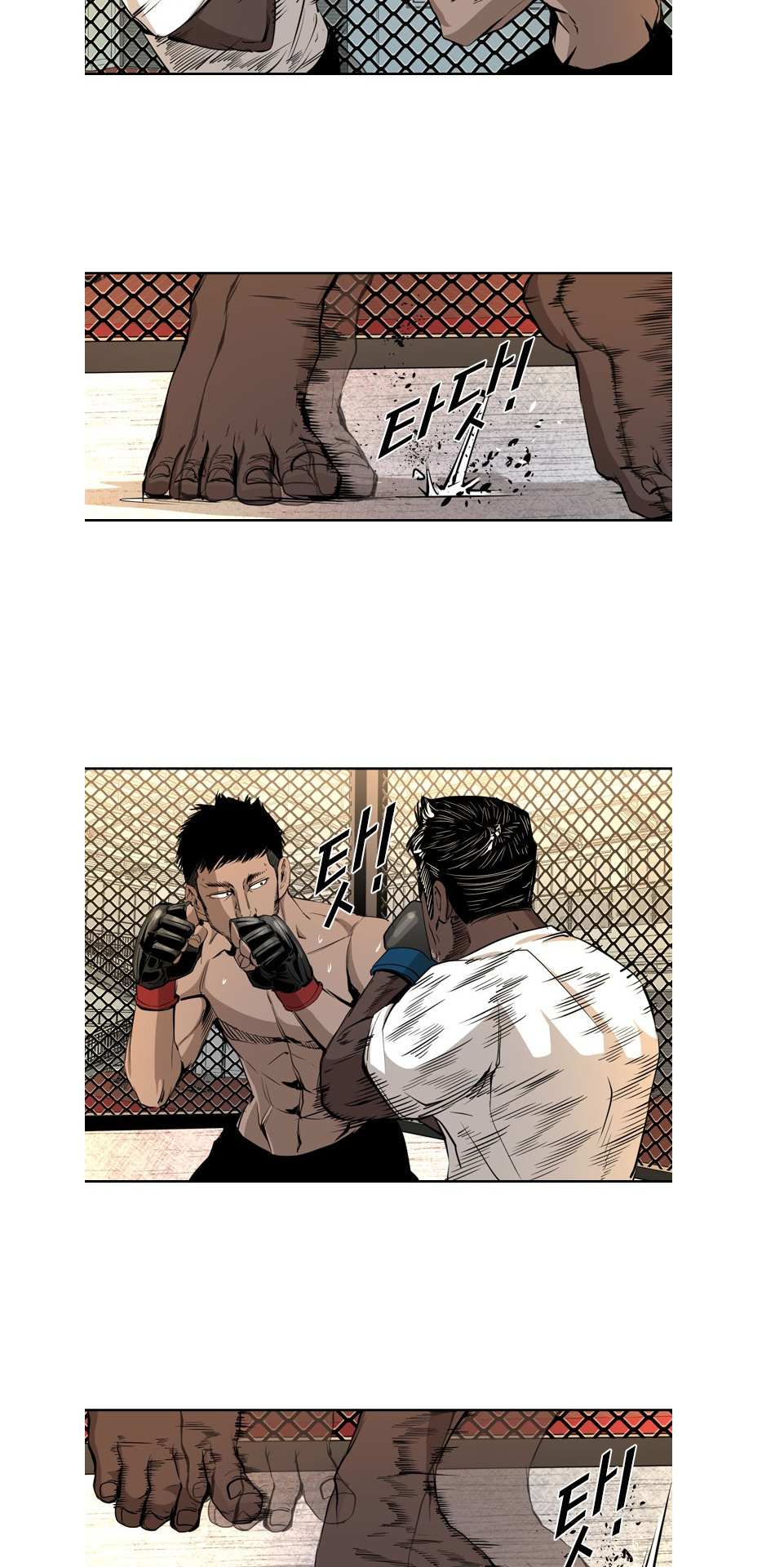Read Shark Manga Online
