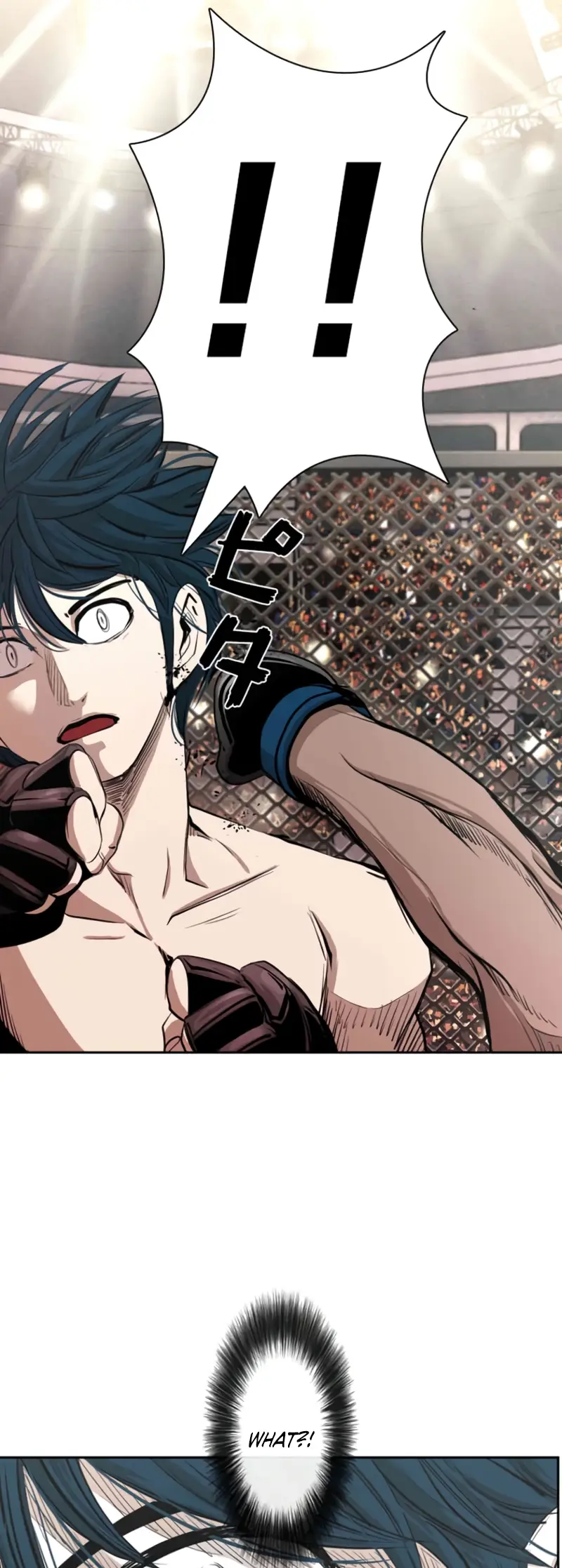 Read Shark Manga Online