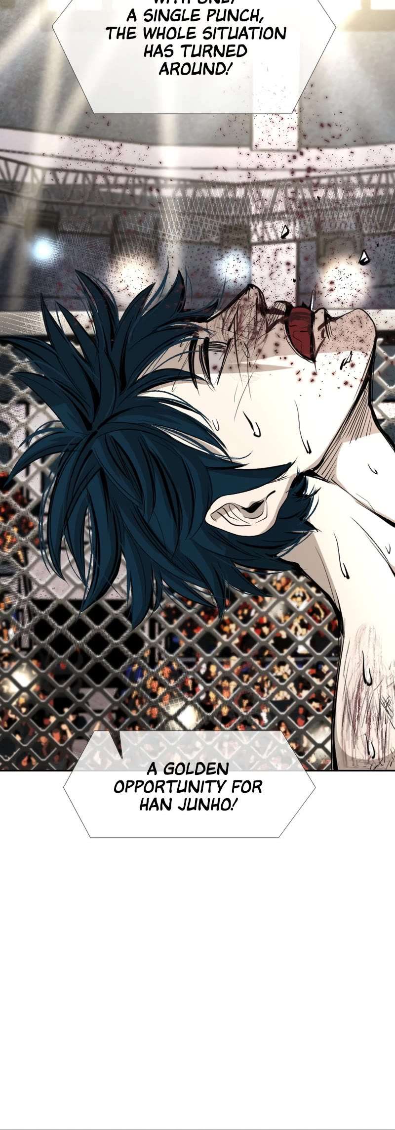 Read Shark Manga Online