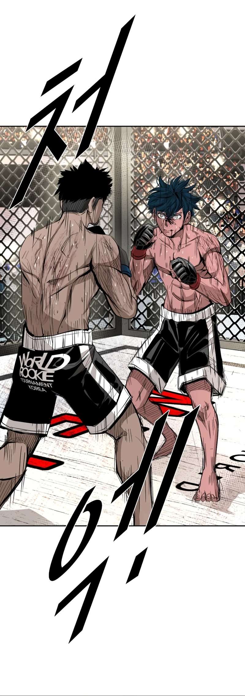 Read Shark Manga Online