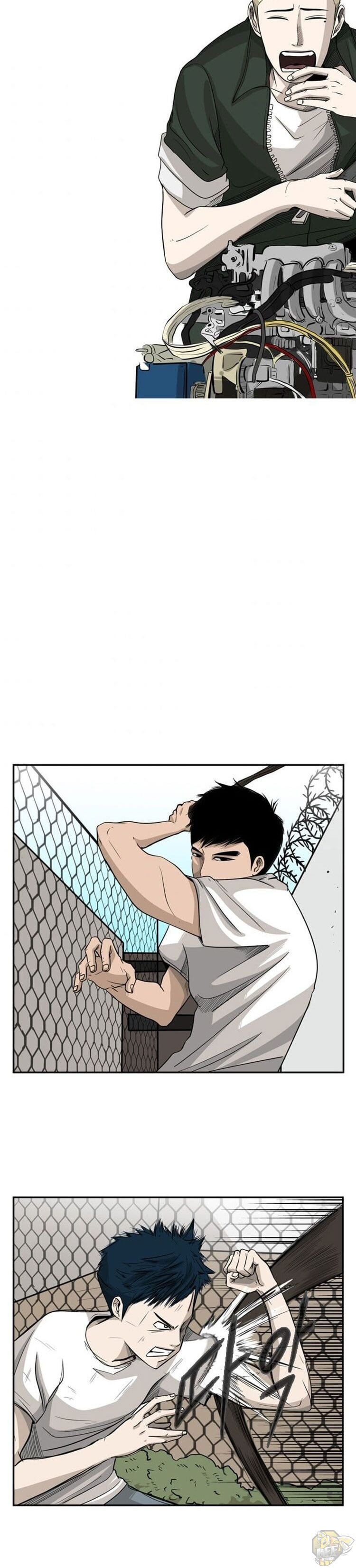 Read Shark Manga Online