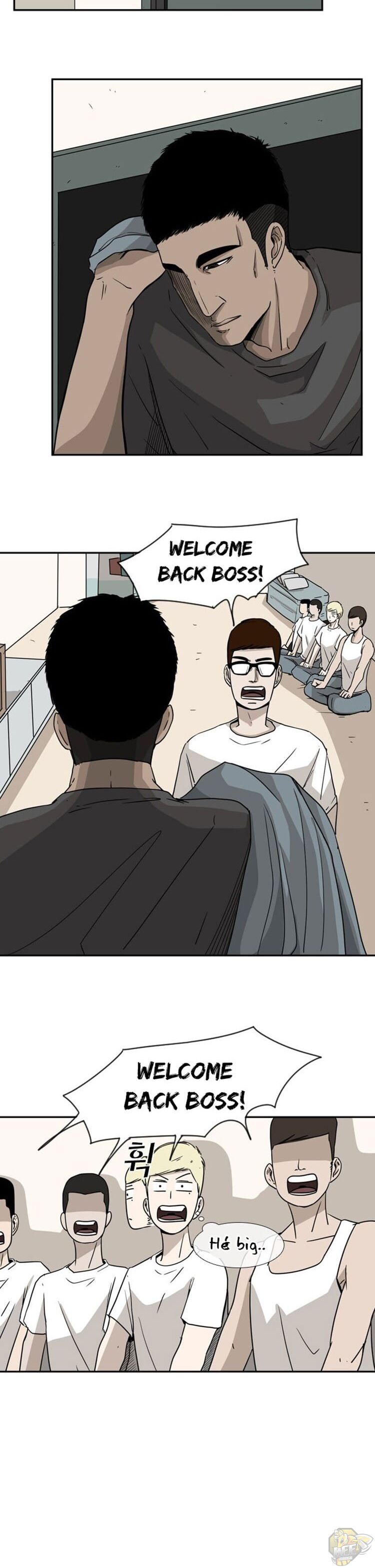 Read Shark Manga Online