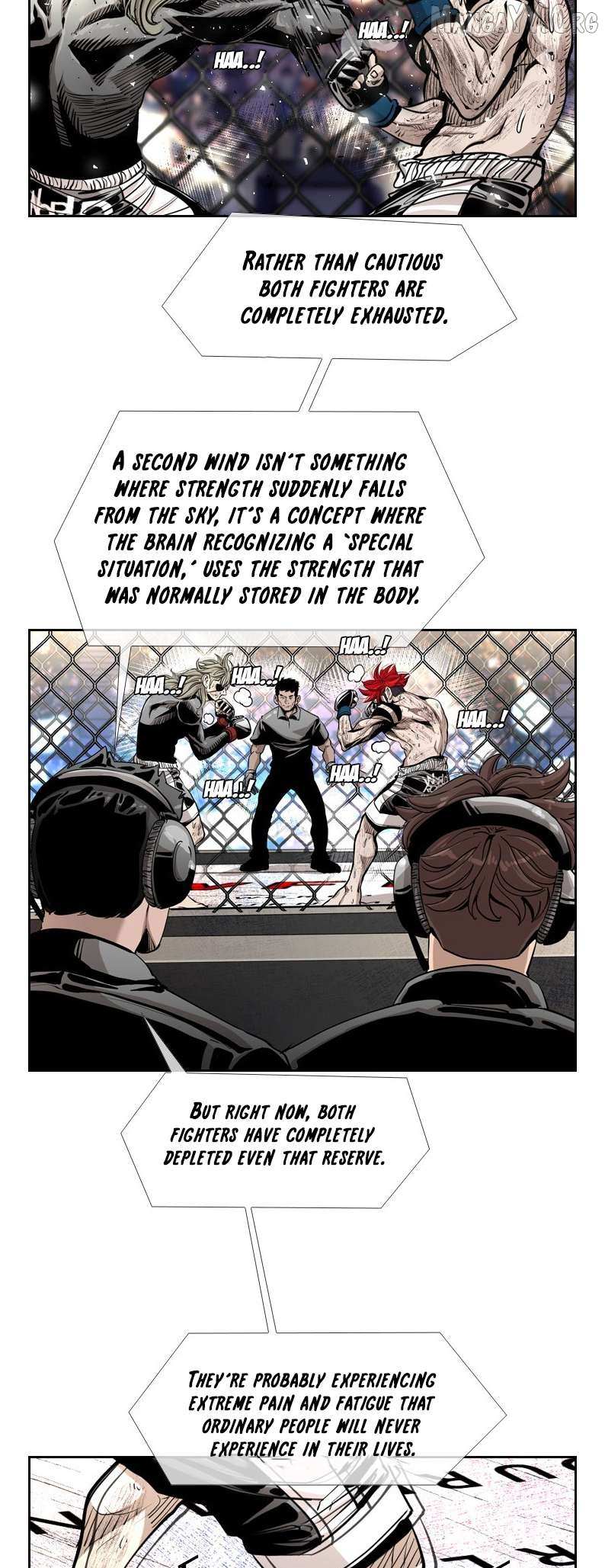 Read Shark Manga Online