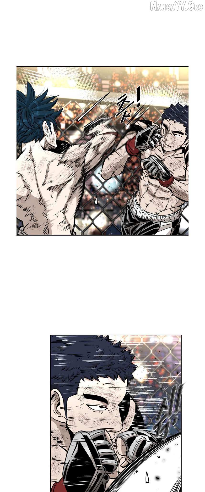Read Shark Manga Online