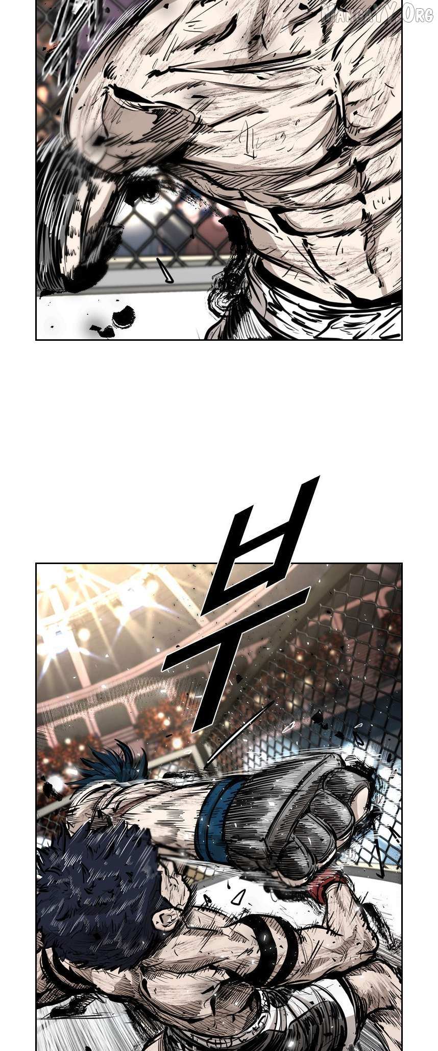 Read Shark Manga Online