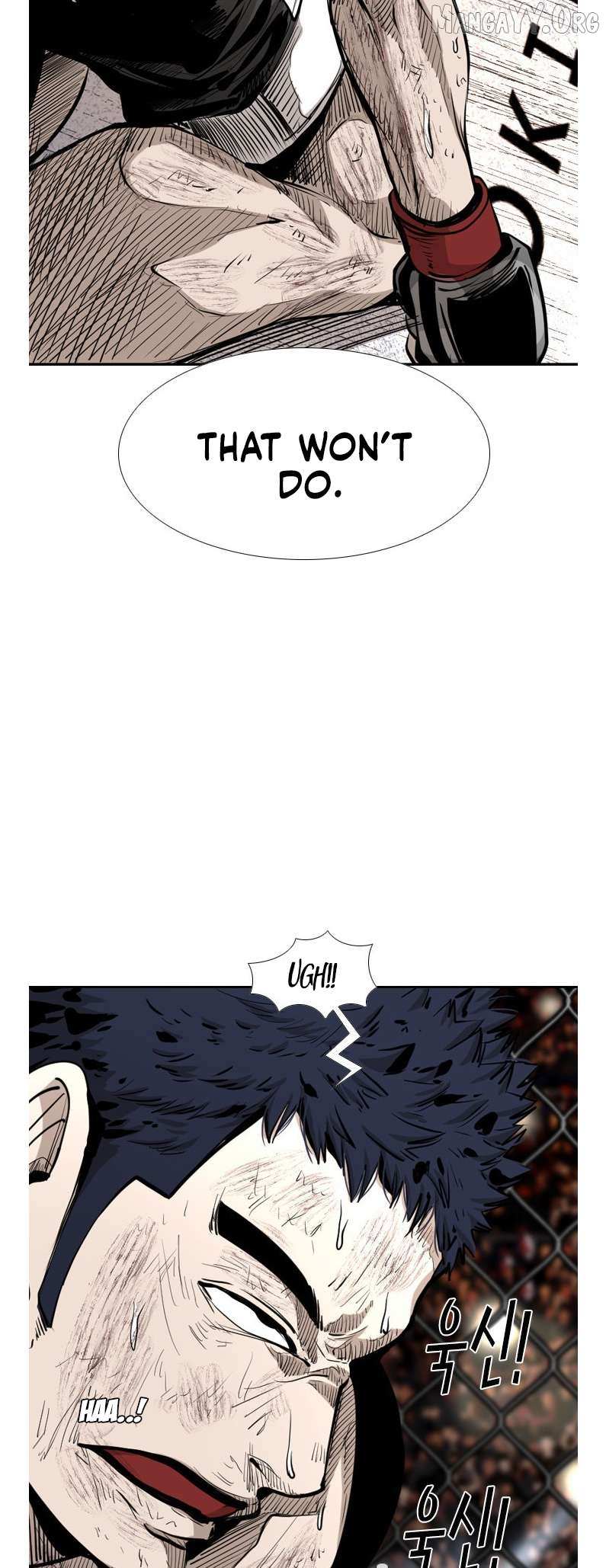 Read Shark Manga Online