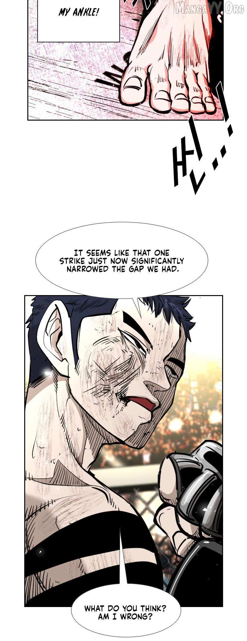 Read Shark Manga Online