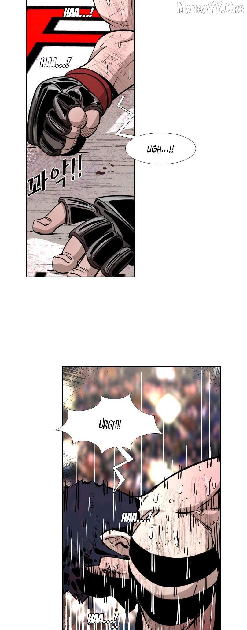 Read Shark Manga Online