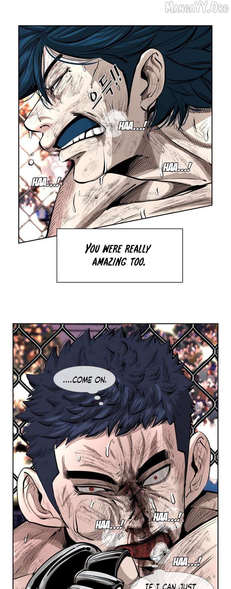 Read Shark Manga Online