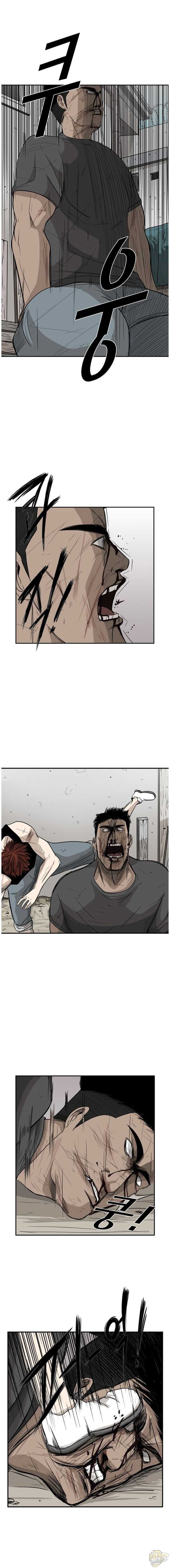 Read Shark Manga Online