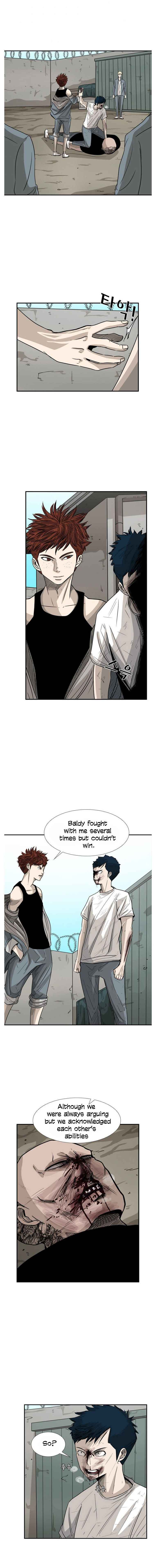 Read Shark Manga Online