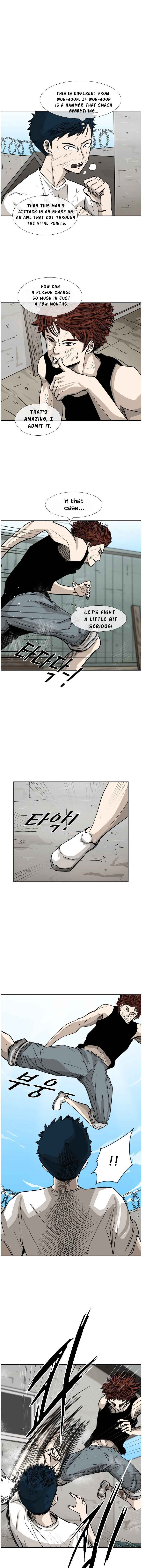 Read Shark Manga Online