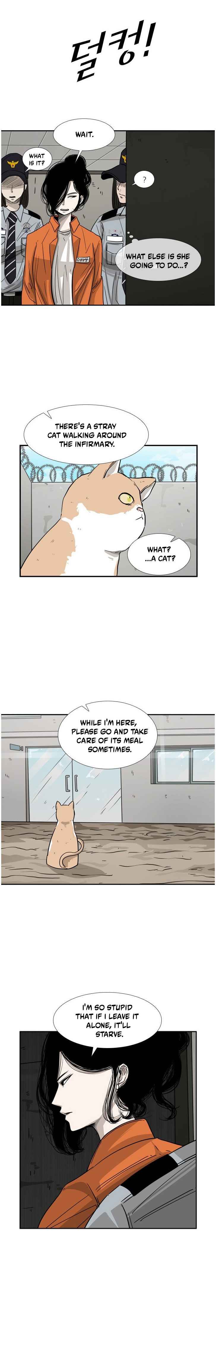 Read Shark Manga Online