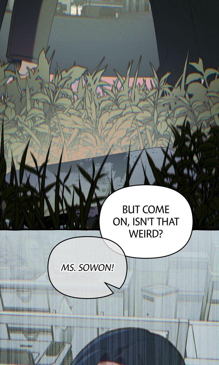 Read The 11th School Trip Manga Online