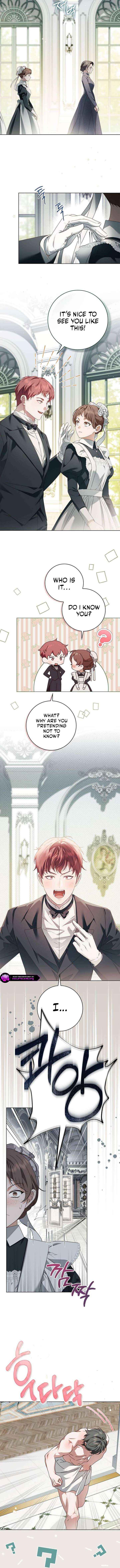 Read The Count’s Secret Maid Manga Online