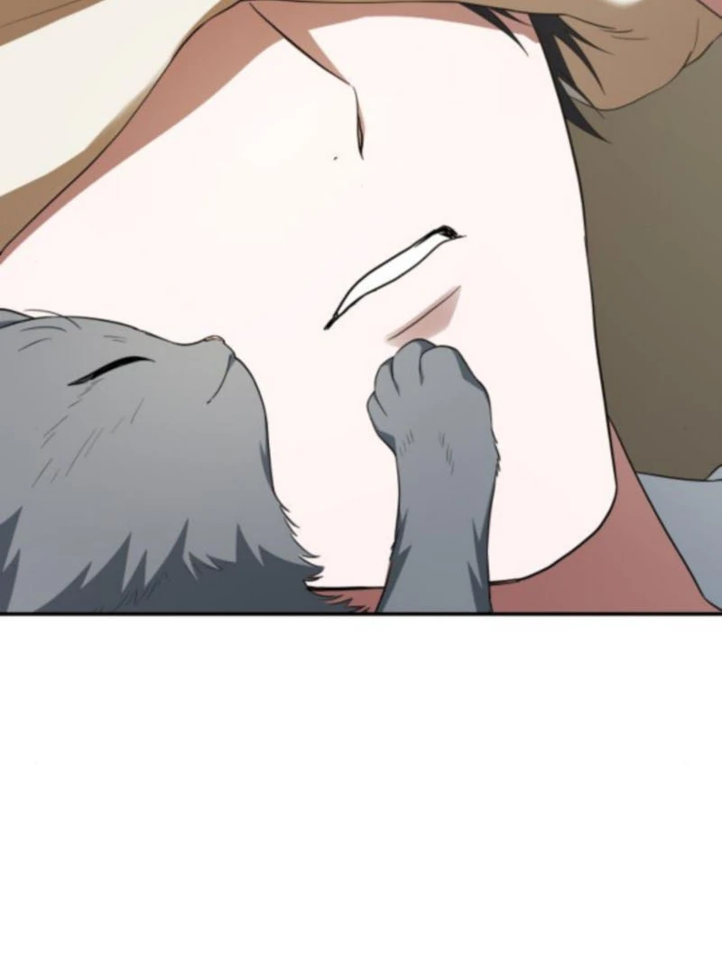 Read The End of a Fake Marriage Manga Online