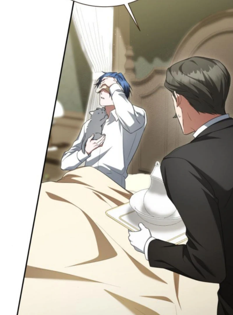 Read The End of a Fake Marriage Manga Online