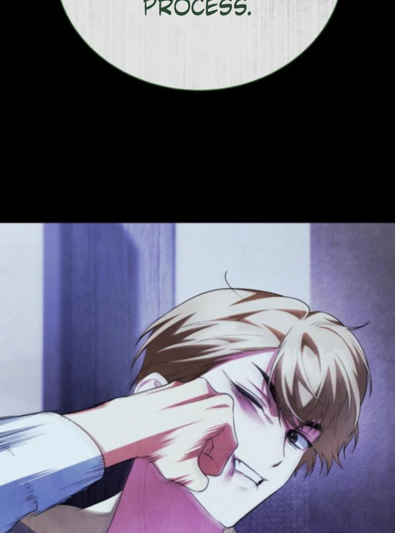 Read The End of a Fake Marriage Manga Online