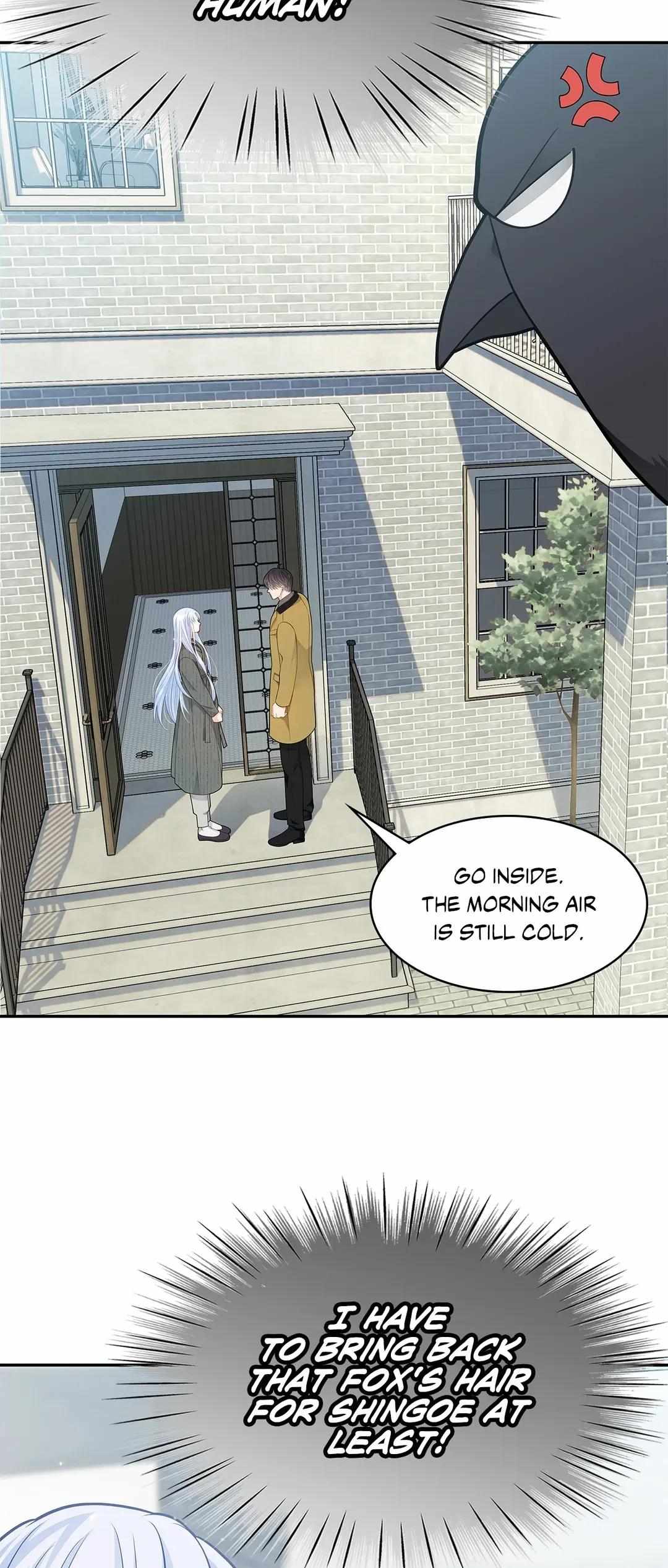 Read The Fox's Thief Marriage Manga Online