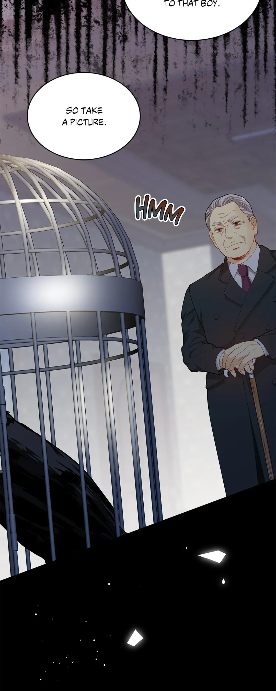Read The Fox's Thief Marriage Manga Online