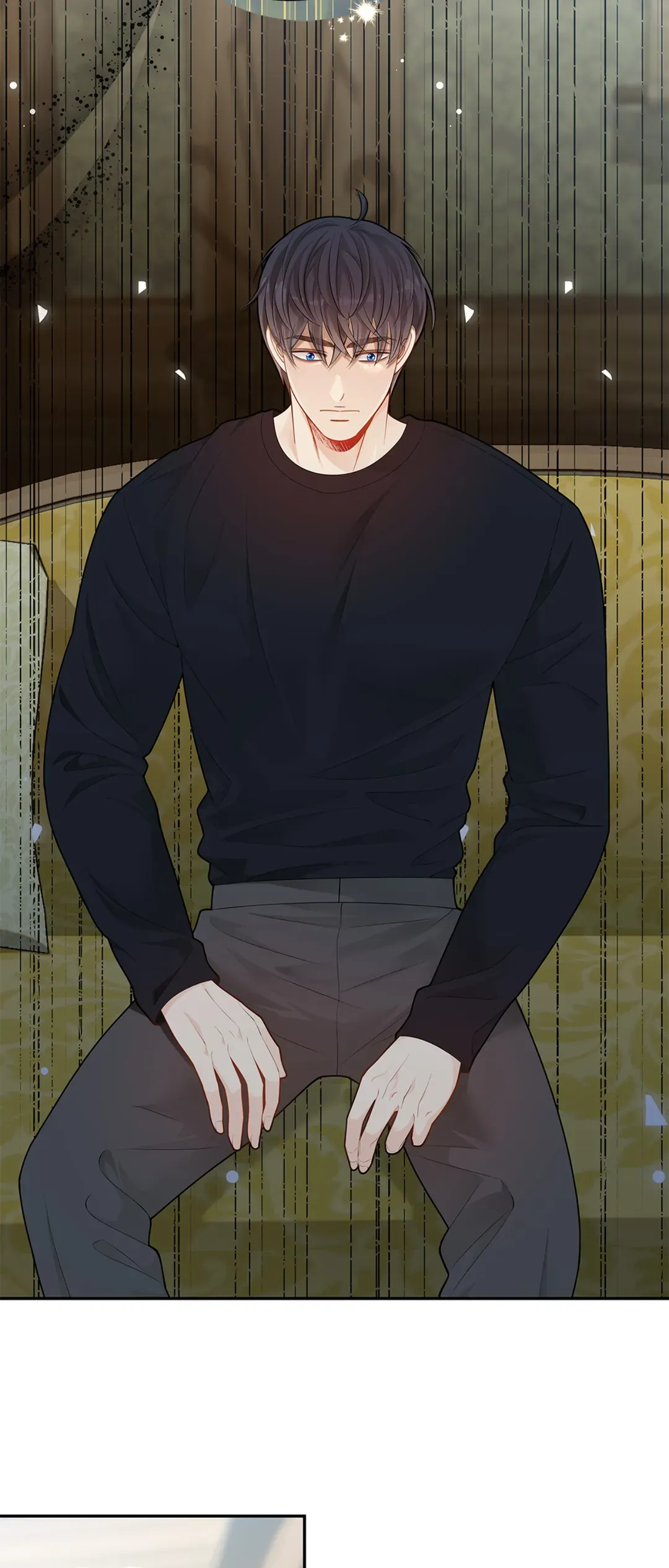 Read The Fox's Thief Marriage Manga Online