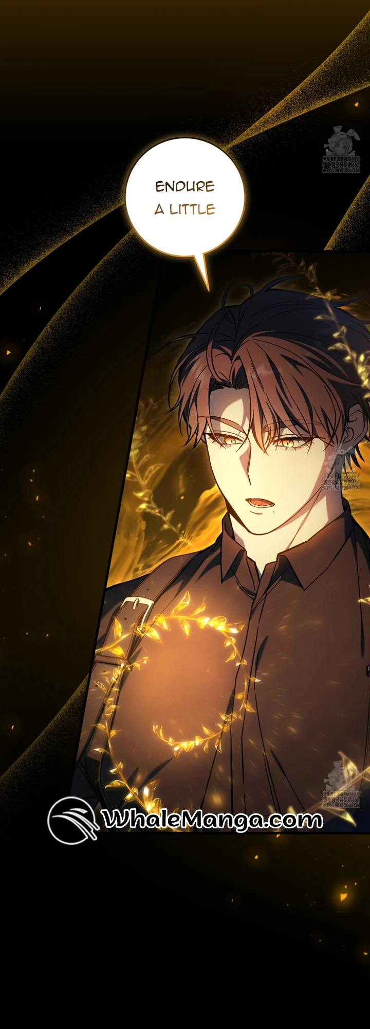 Read The Hunter Wants To Live Quietly Manga Online