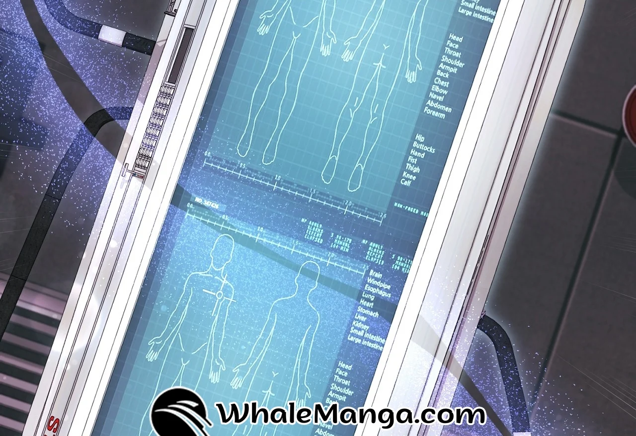 Read The Hunter Wants To Live Quietly Manga Online