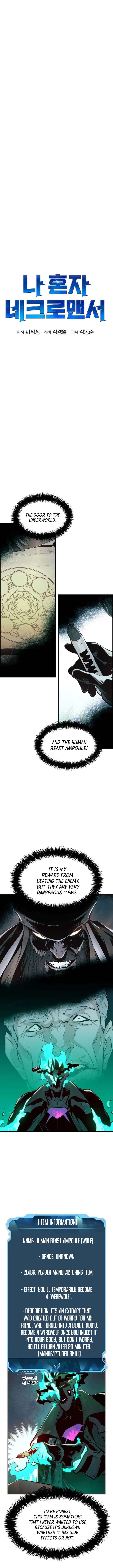 Read The Lone Necromancer Manga Online