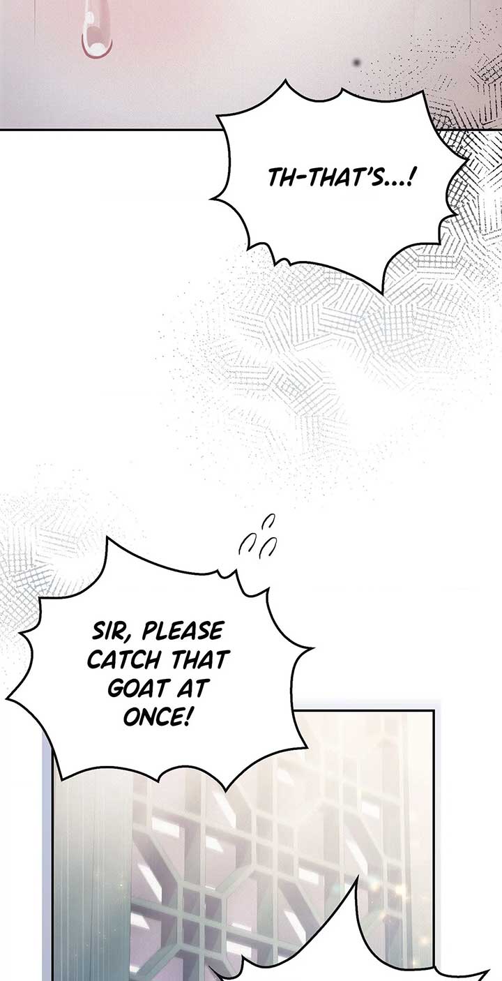 Read The Queen’s Secret Lessons Manga Online