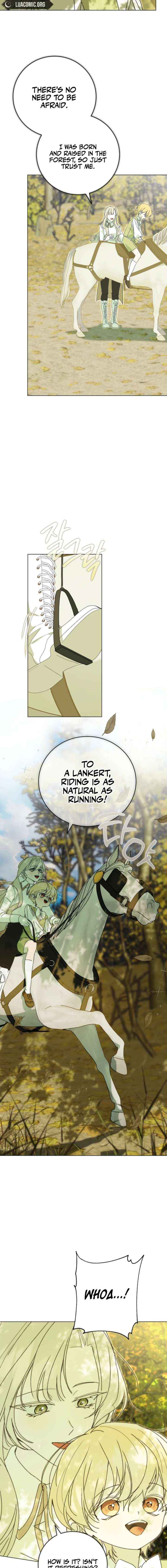 Read The Reincarnation of the Duke’s Daughter Manga Online
