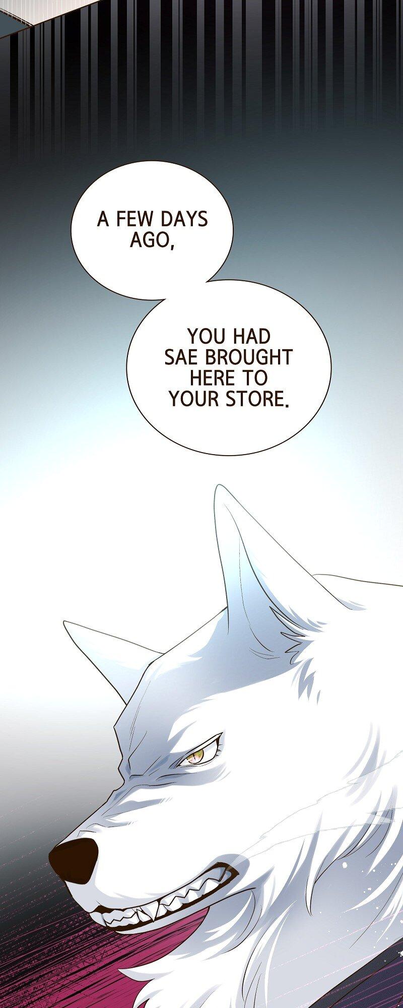 Read The White Wolf’s Bride Manga Online
