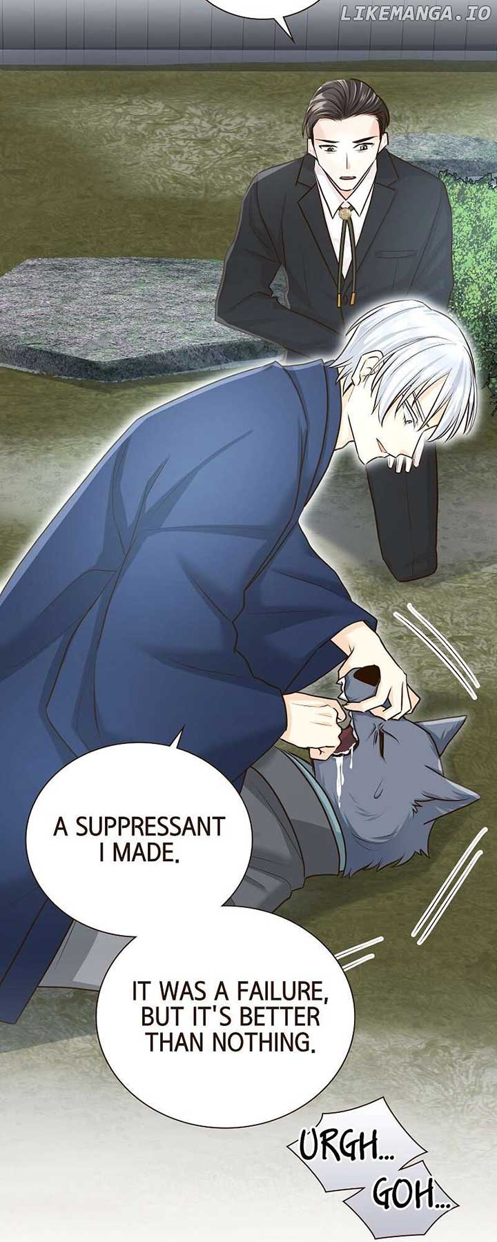 Read The White Wolf’s Bride Manga Online
