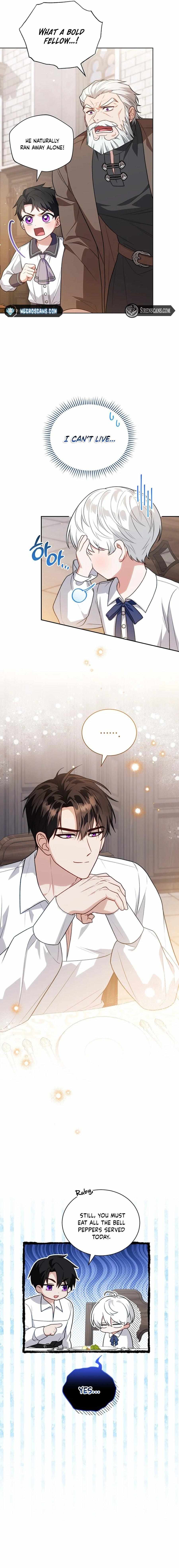Read The Youngest Has Many Secrets Manga Online