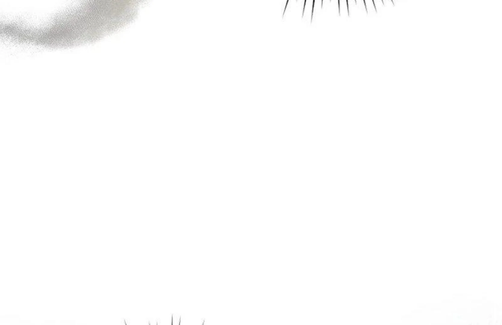 Read The snow leopard baby of the black leopard family Manga Online