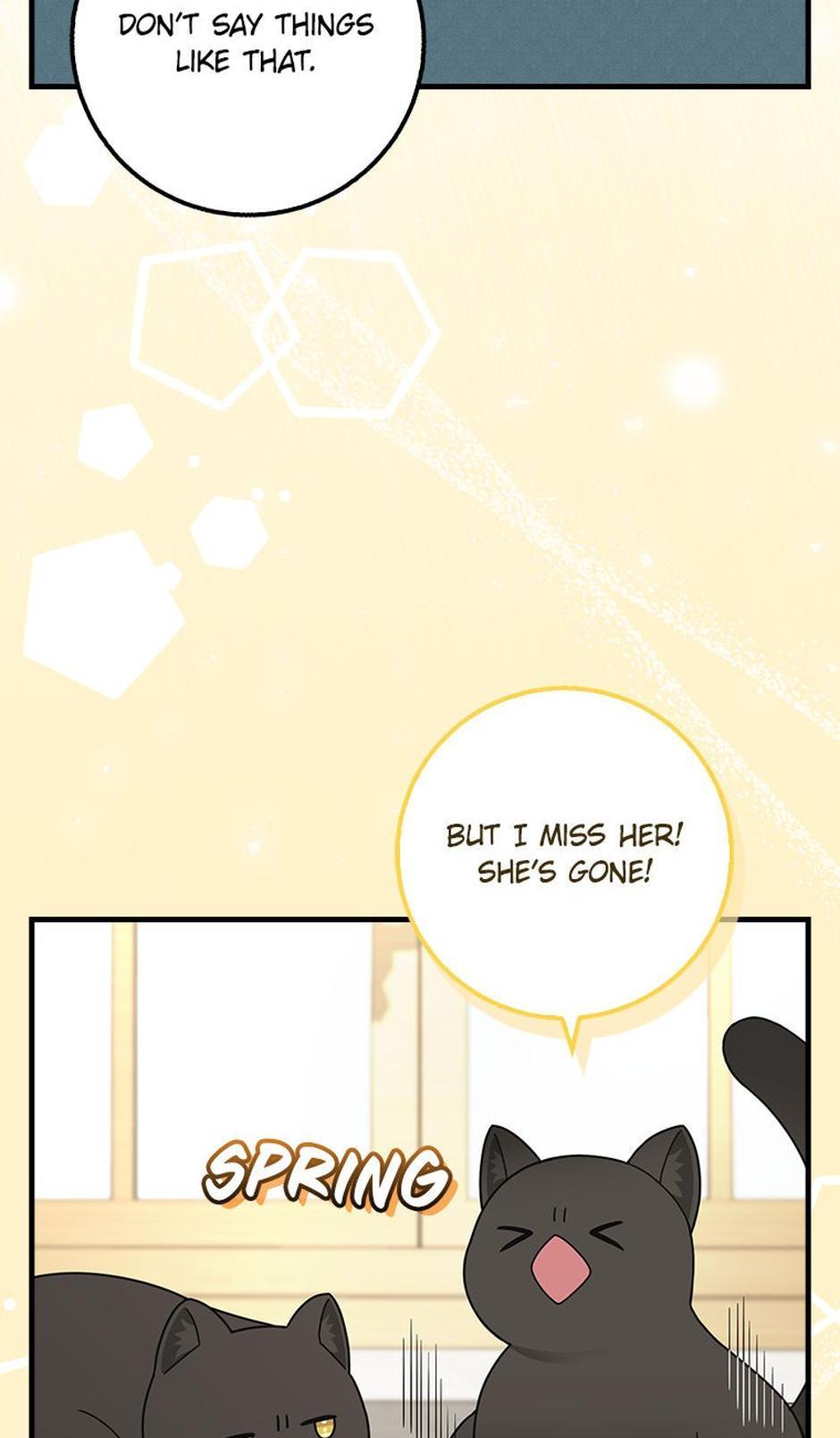Read The snow leopard baby of the black leopard family Manga Online