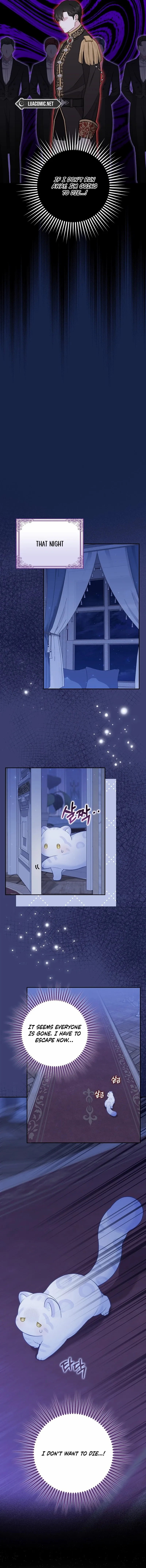 Read The snow leopard baby of the black leopard family Manga Online