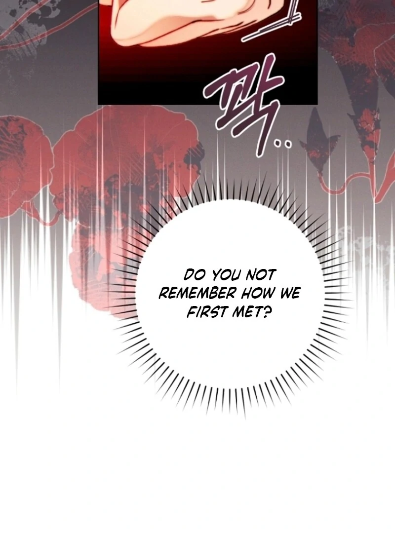 Read This Marriage Will Surely Succeed Manga Online