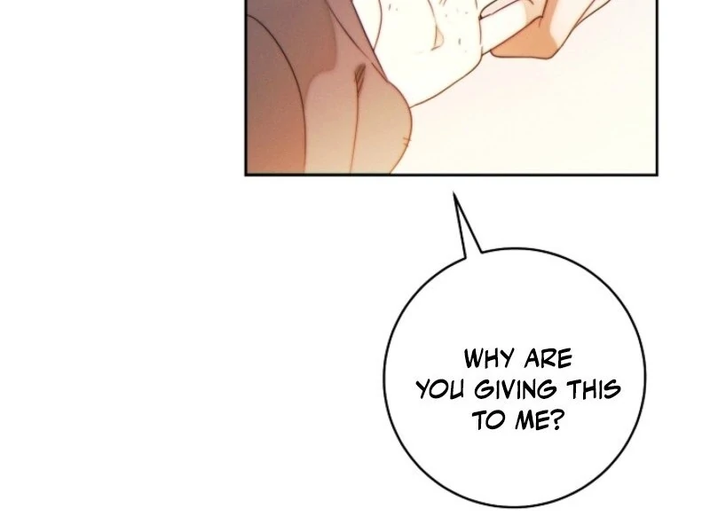 Read This Marriage Will Surely Succeed Manga Online