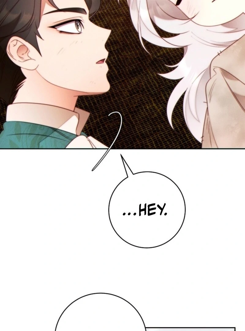 Read This Marriage Will Surely Succeed Manga Online