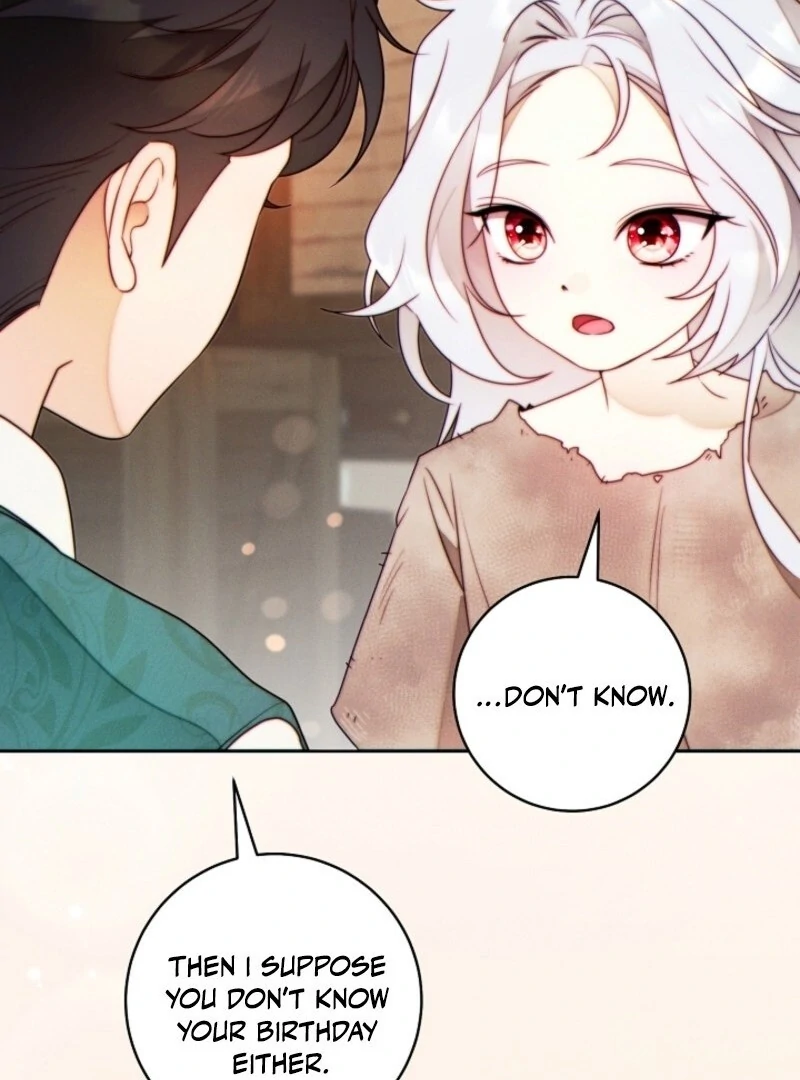 Read This Marriage Will Surely Succeed Manga Online