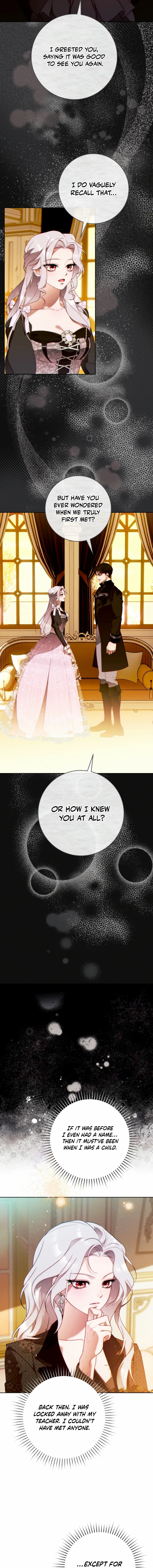 Read This Marriage Will Surely Succeed Manga Online