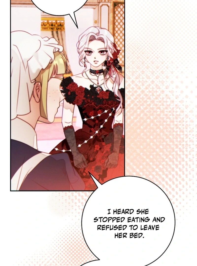 Read This Marriage Will Surely Succeed Manga Online