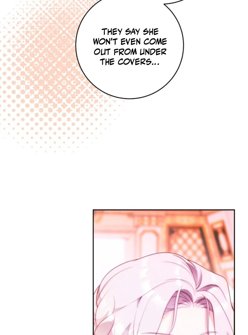 Read This Marriage Will Surely Succeed Manga Online