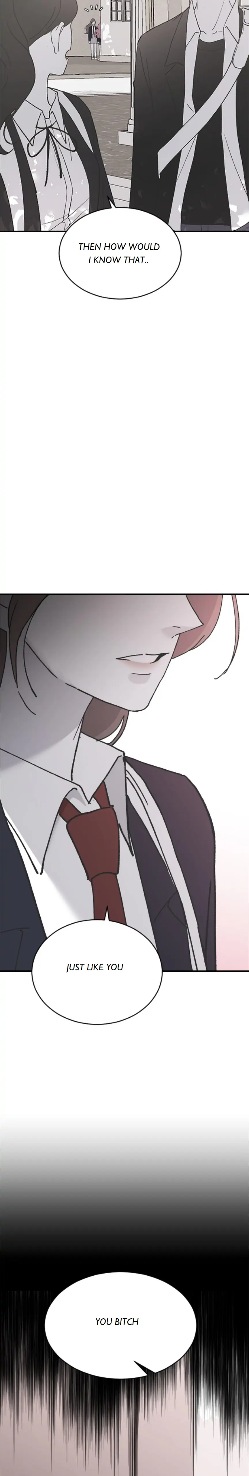 Read Three Brothers Manga Online