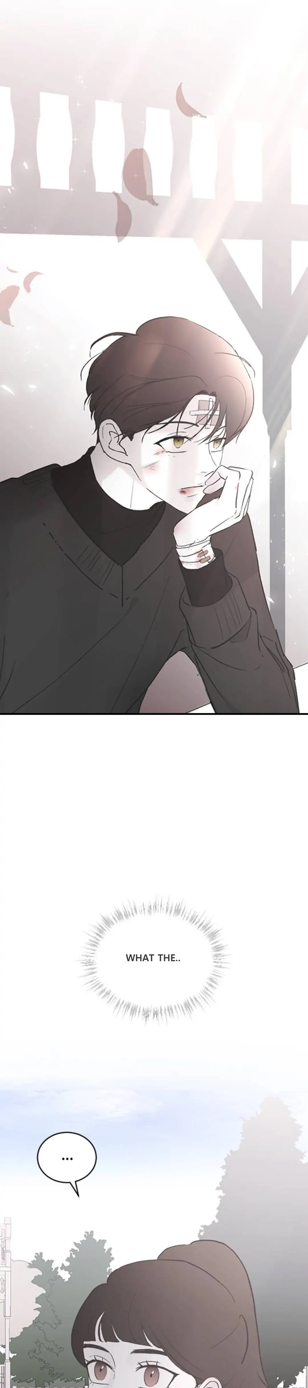 Read Three Brothers Manga Online